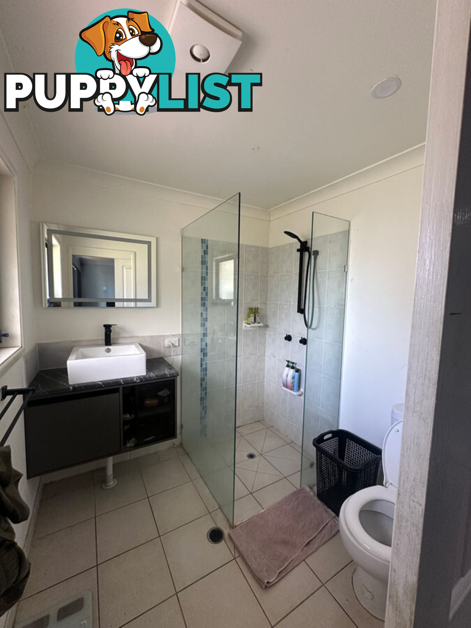 9 Pigeon Court BIRKDALE QLD 4159