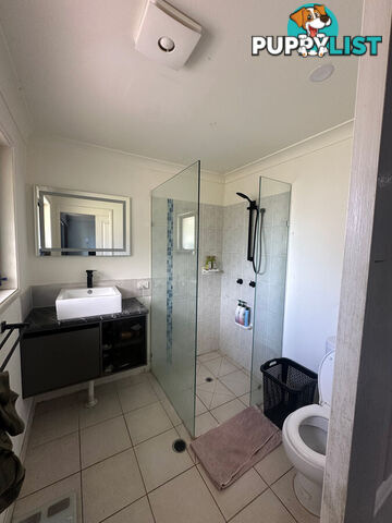 9 Pigeon Court BIRKDALE QLD 4159