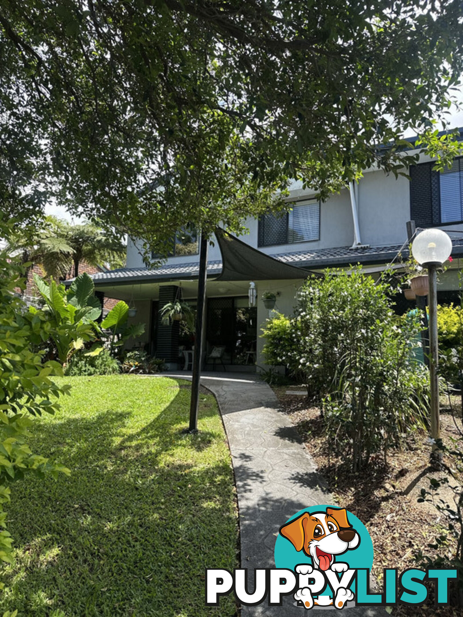 9 Pigeon Court BIRKDALE QLD 4159