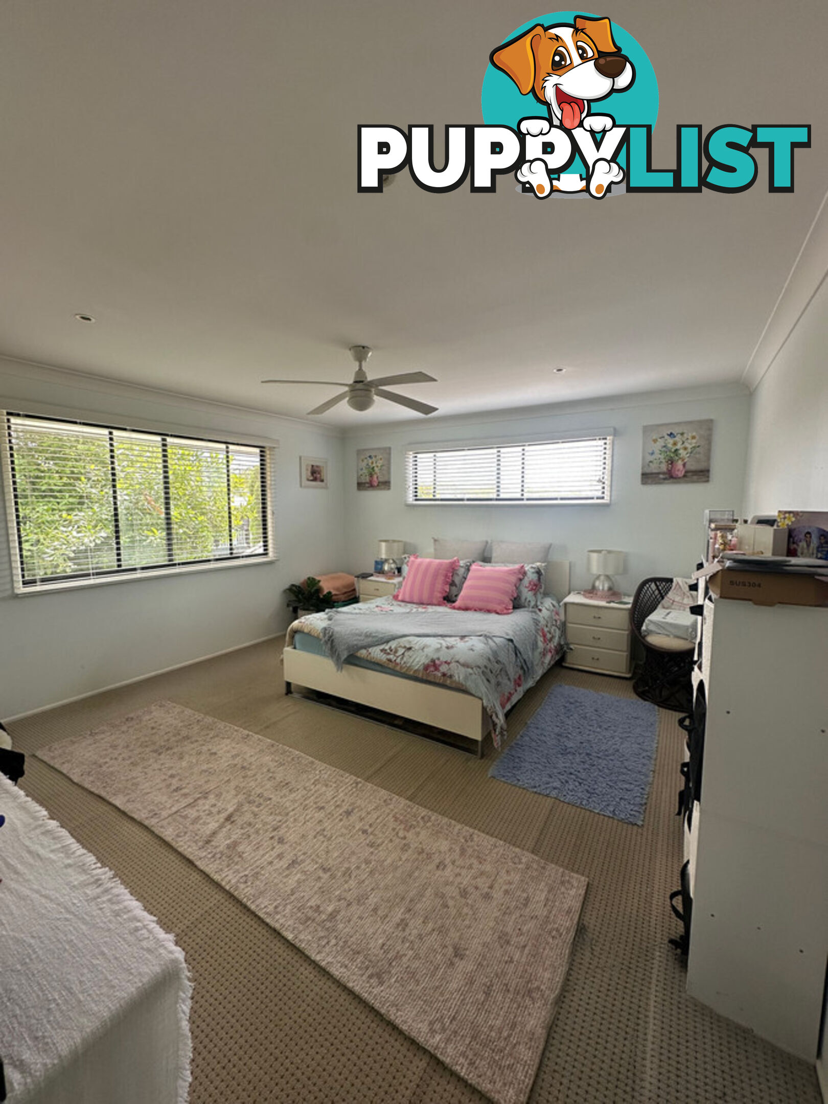 9 Pigeon Court BIRKDALE QLD 4159