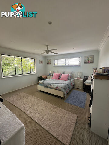 9 Pigeon Court BIRKDALE QLD 4159