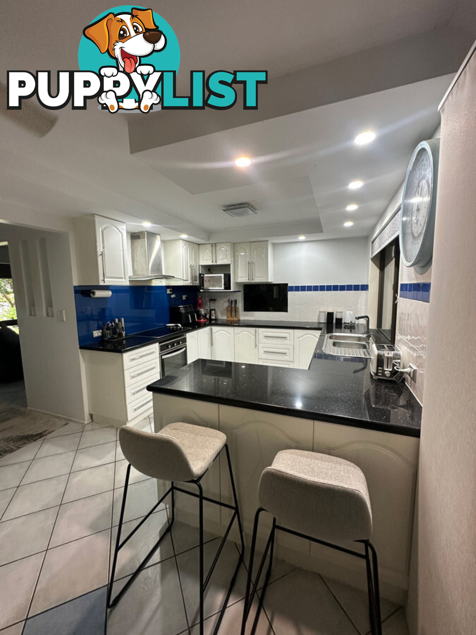 9 Pigeon Court BIRKDALE QLD 4159