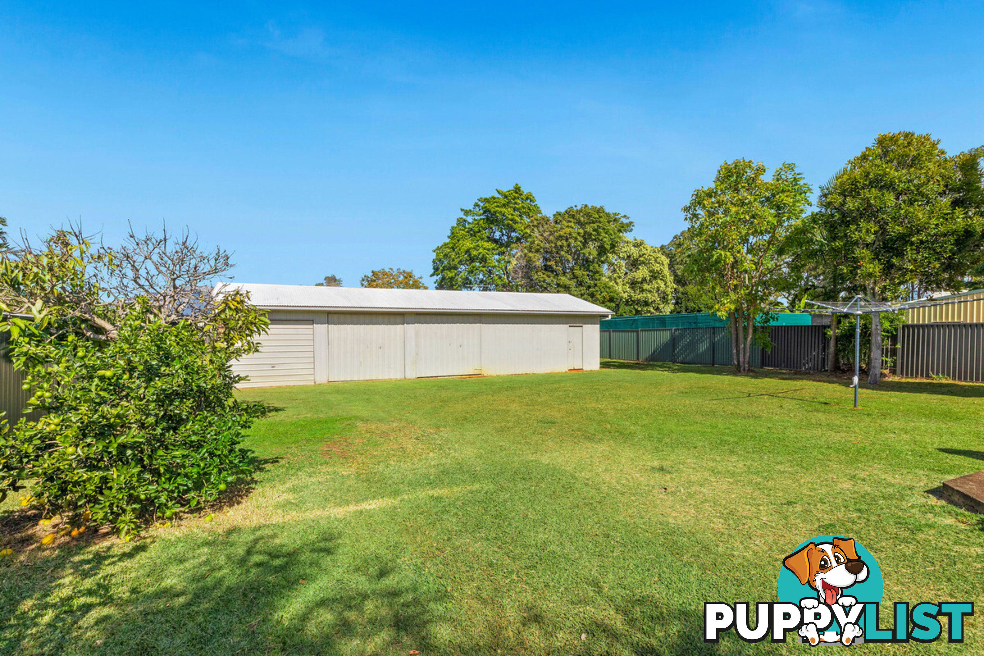 51 Thorne Road BIRKDALE QLD 4159