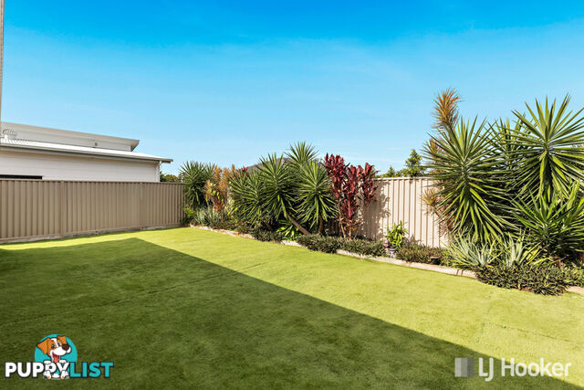 19 McPherson Street THORNLANDS QLD 4164