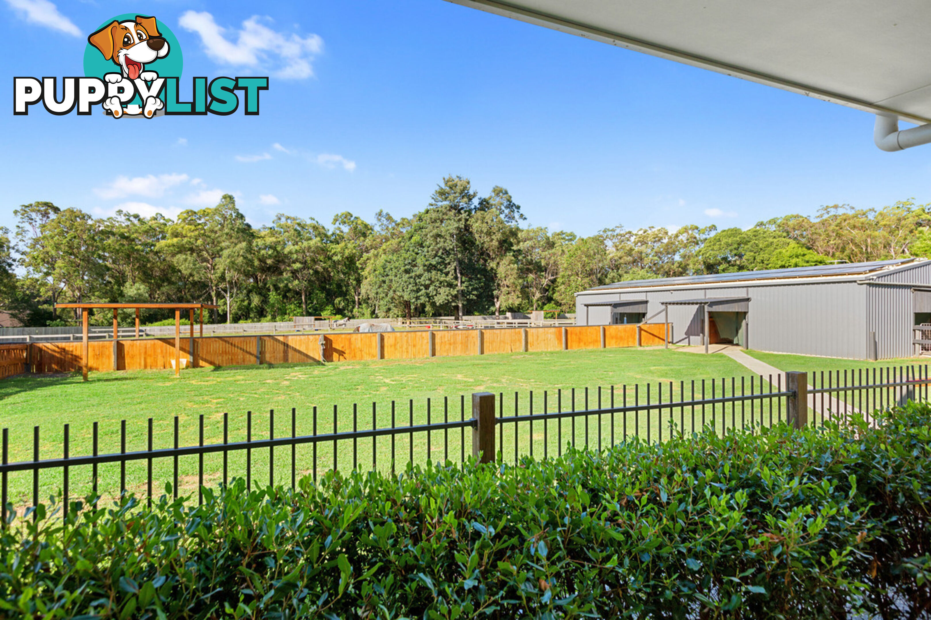 20 Camrose Street CHANDLER QLD 4155