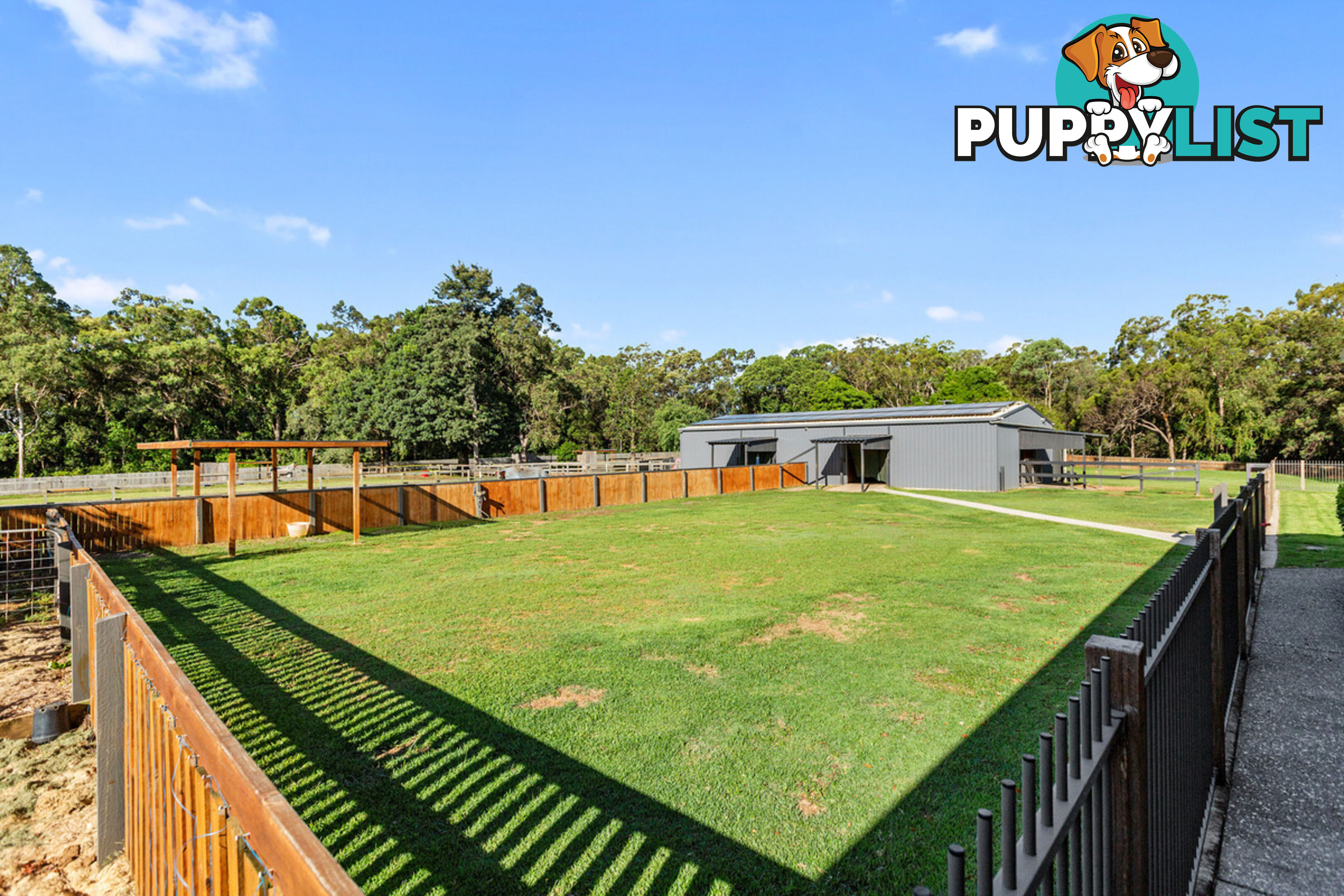 20 Camrose Street CHANDLER QLD 4155