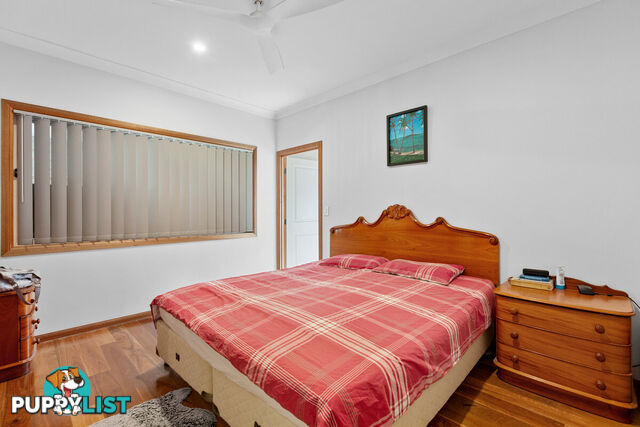 20 Camrose Street CHANDLER QLD 4155