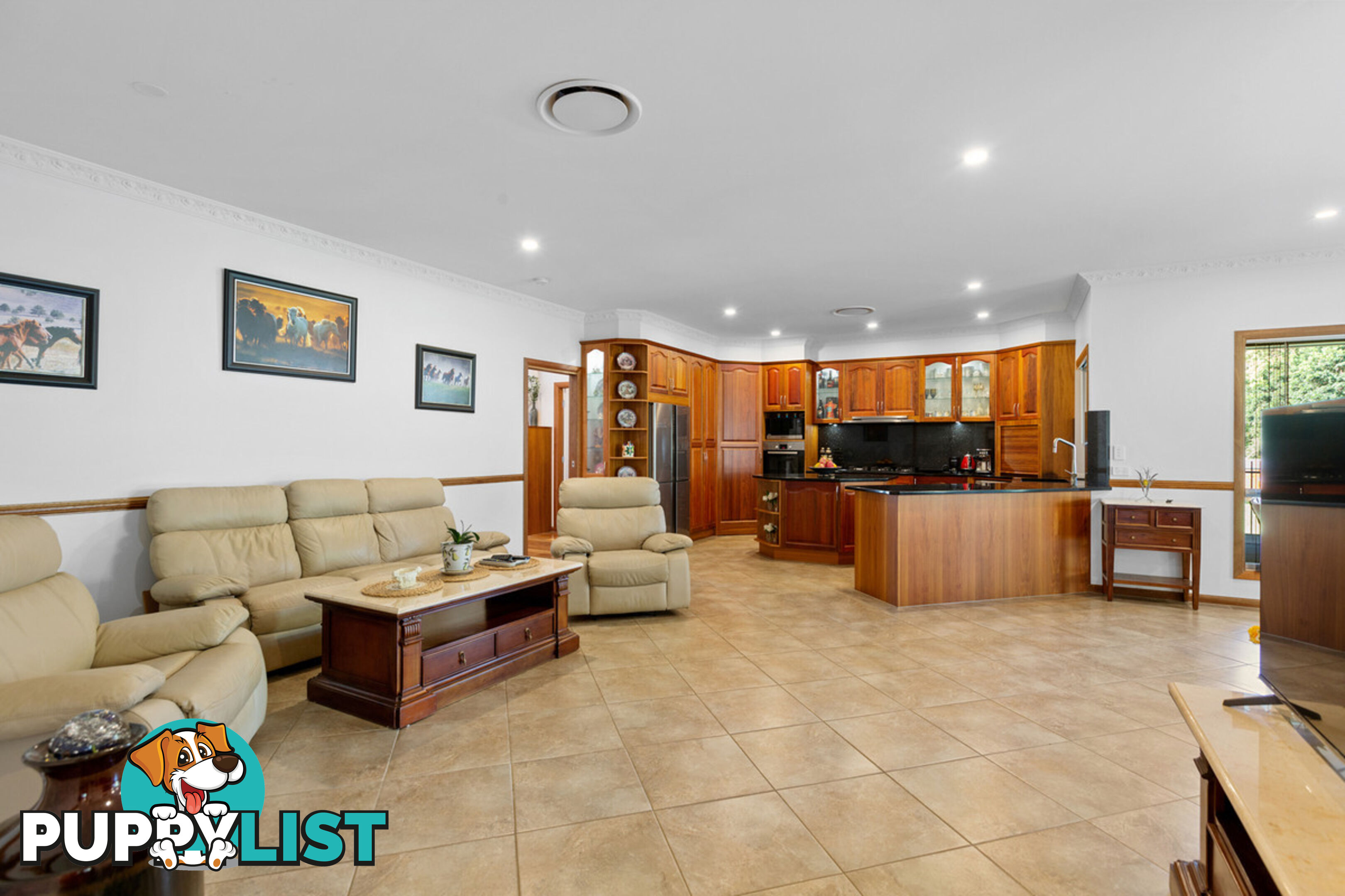 20 Camrose Street CHANDLER QLD 4155