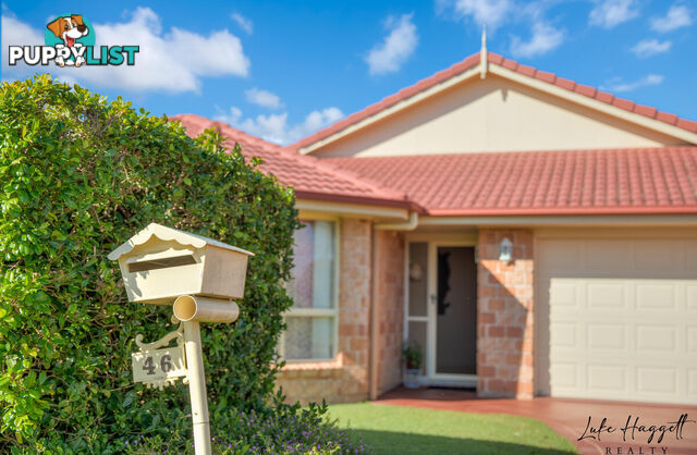 46 Clive Road BIRKDALE QLD 4159