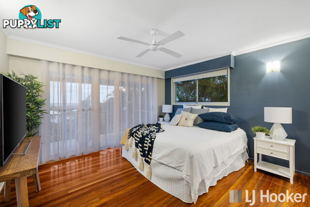 31 David Street THORNESIDE QLD 4158