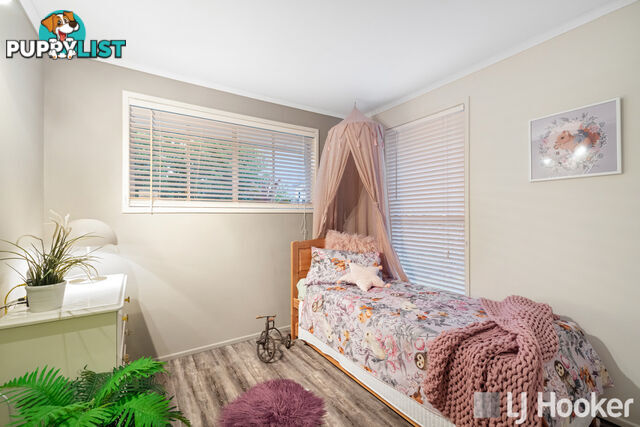 31 David Street THORNESIDE QLD 4158