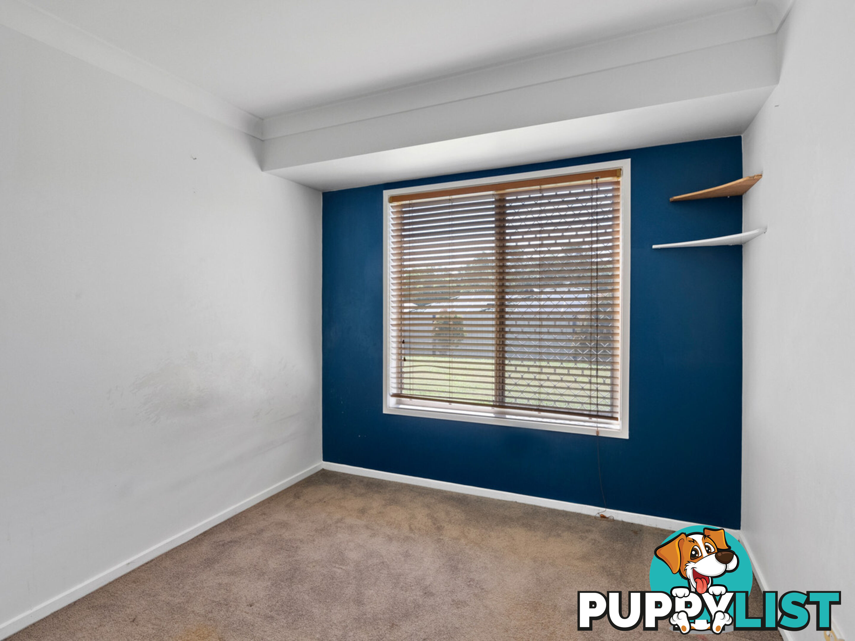 49 Cochrane Street ALEXANDRA HILLS QLD 4161