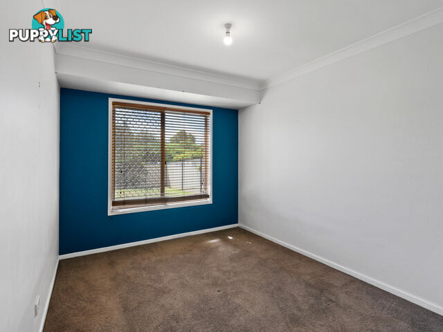 49 Cochrane Street ALEXANDRA HILLS QLD 4161