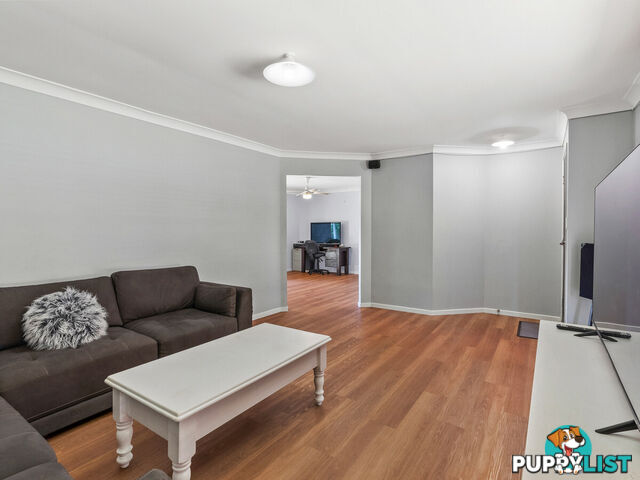 49 Cochrane Street ALEXANDRA HILLS QLD 4161