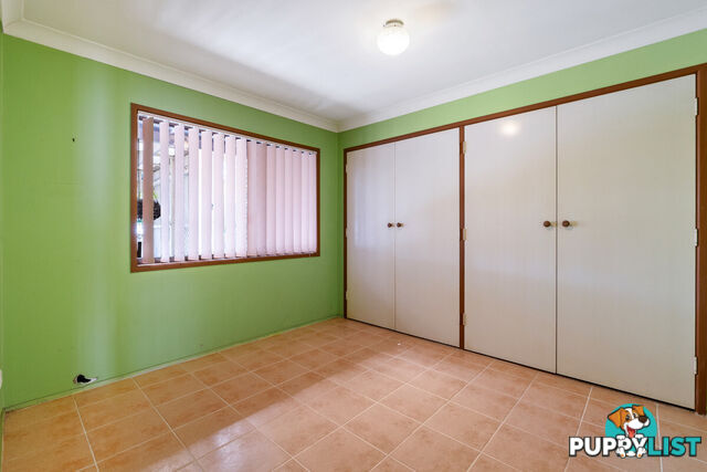 1 Ellora Street ALEXANDRA HILLS QLD 4161