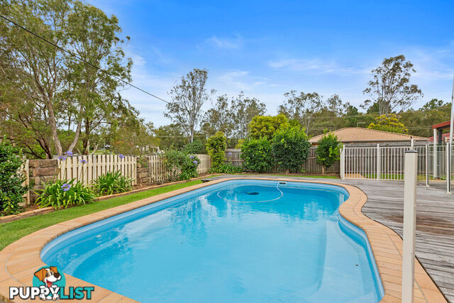 13 Pandora Court CLEVELAND QLD 4163