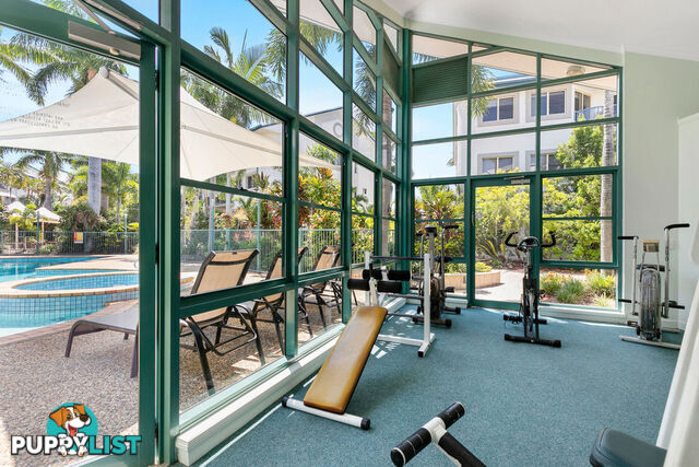 53/13-14 Esperance Court RABY BAY QLD 4163