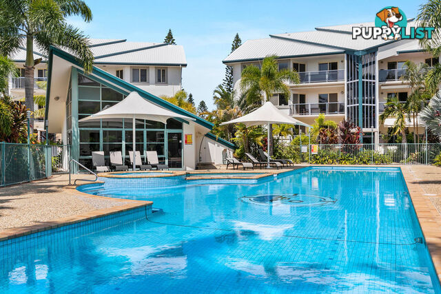 53/13-14 Esperance Court RABY BAY QLD 4163