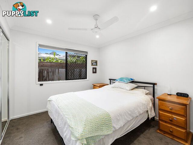 2/39 Carnival Street YANDINA QLD 4561