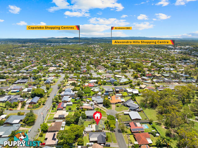 12 Maclean Court ALEXANDRA HILLS QLD 4161