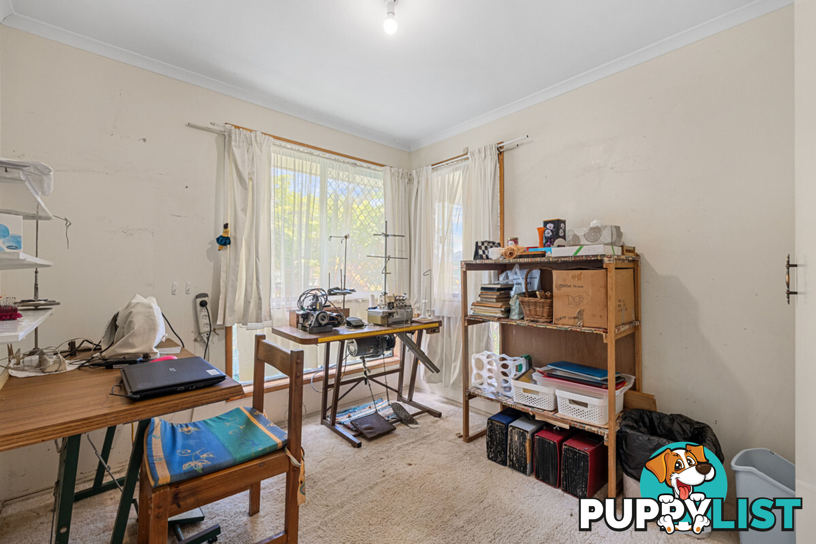 12 Maclean Court ALEXANDRA HILLS QLD 4161