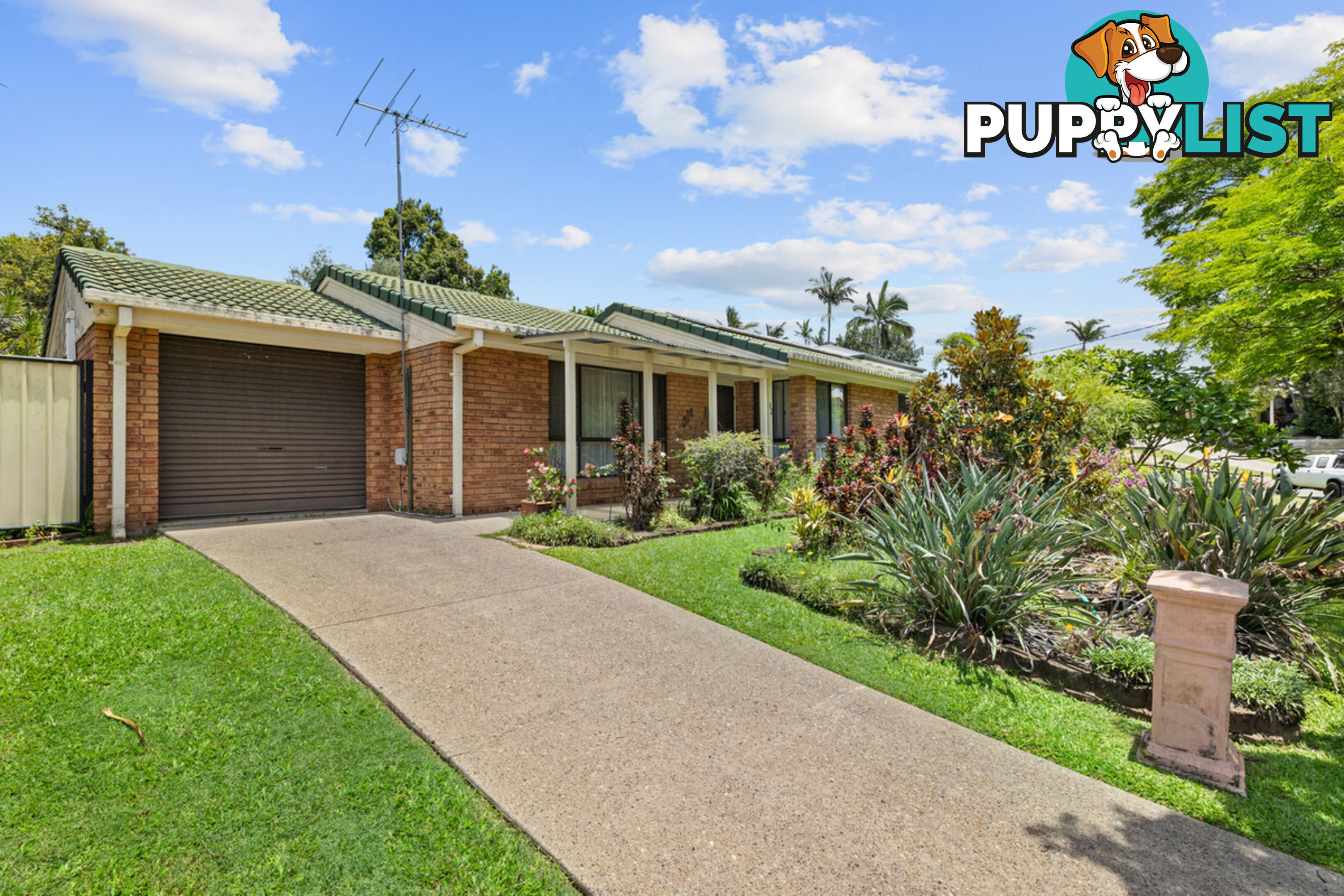 12 Maclean Court ALEXANDRA HILLS QLD 4161