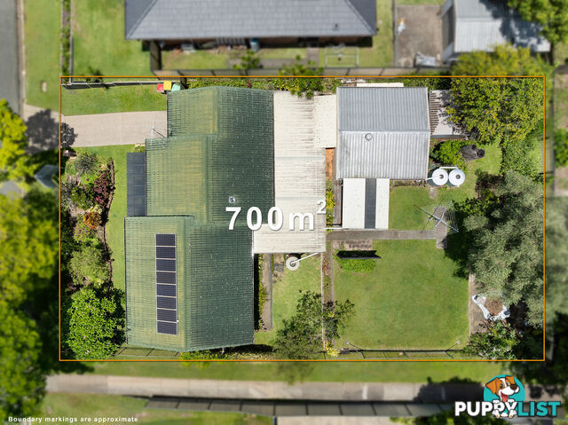 12 Maclean Court ALEXANDRA HILLS QLD 4161