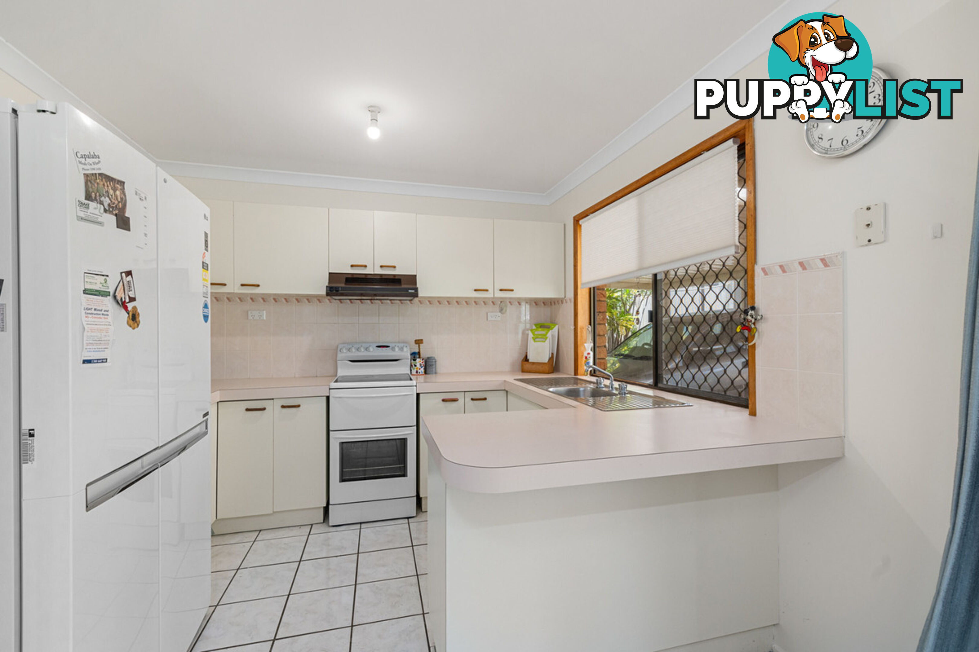 12 Maclean Court ALEXANDRA HILLS QLD 4161