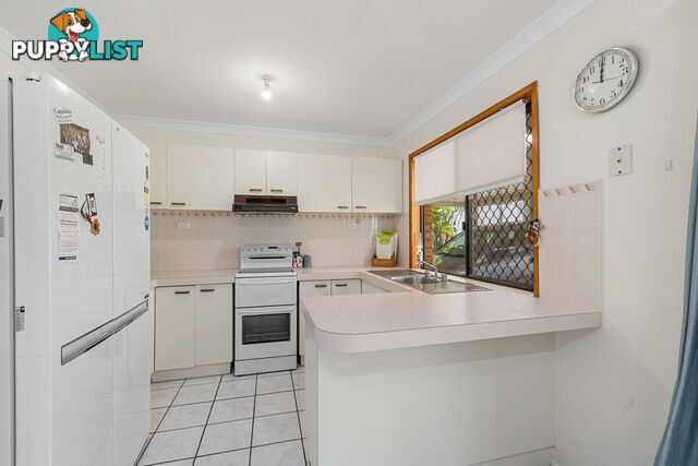 12 Maclean Court ALEXANDRA HILLS QLD 4161