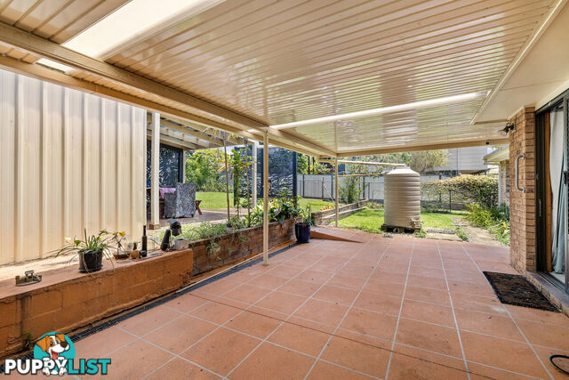 12 Maclean Court ALEXANDRA HILLS QLD 4161