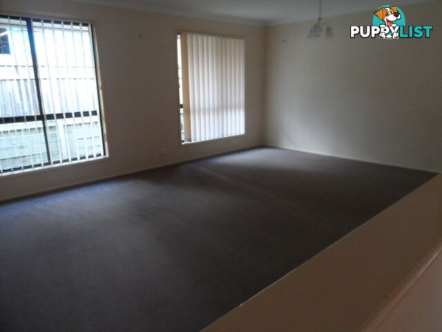 3 Pannosa Court CAPALABA QLD 4157