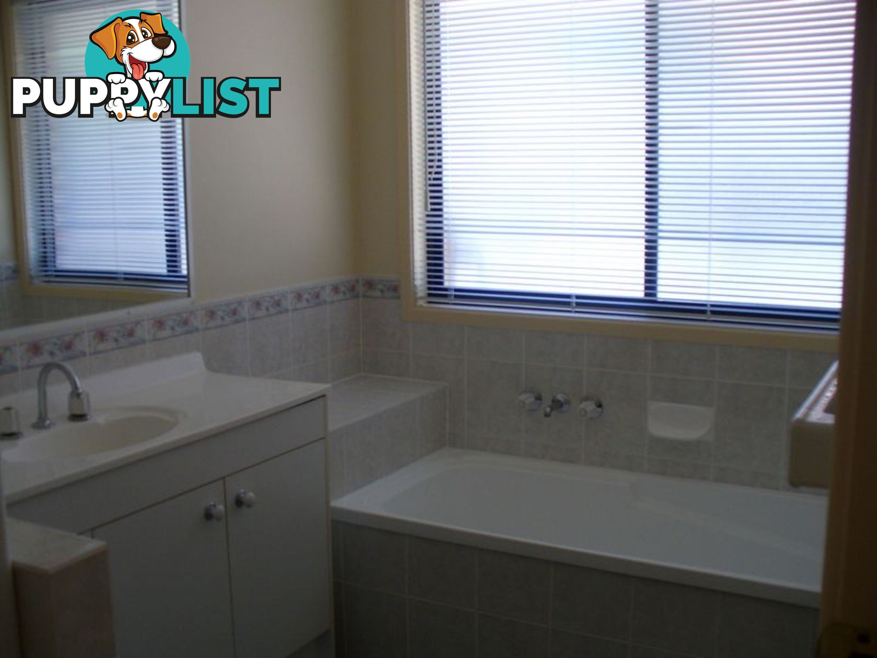 3 Pannosa Court CAPALABA QLD 4157