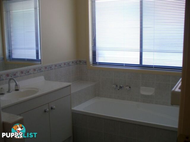 3 Pannosa Court CAPALABA QLD 4157