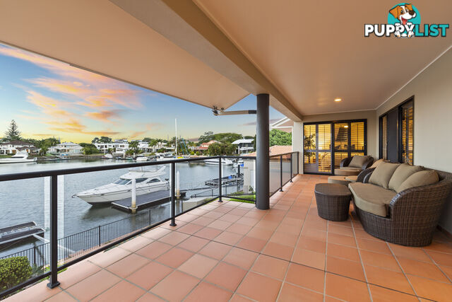 9 Martingale Court RABY BAY QLD 4163