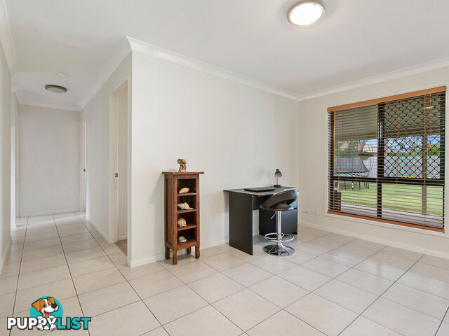 11 Skyview Court JIMBOOMBA QLD 4280