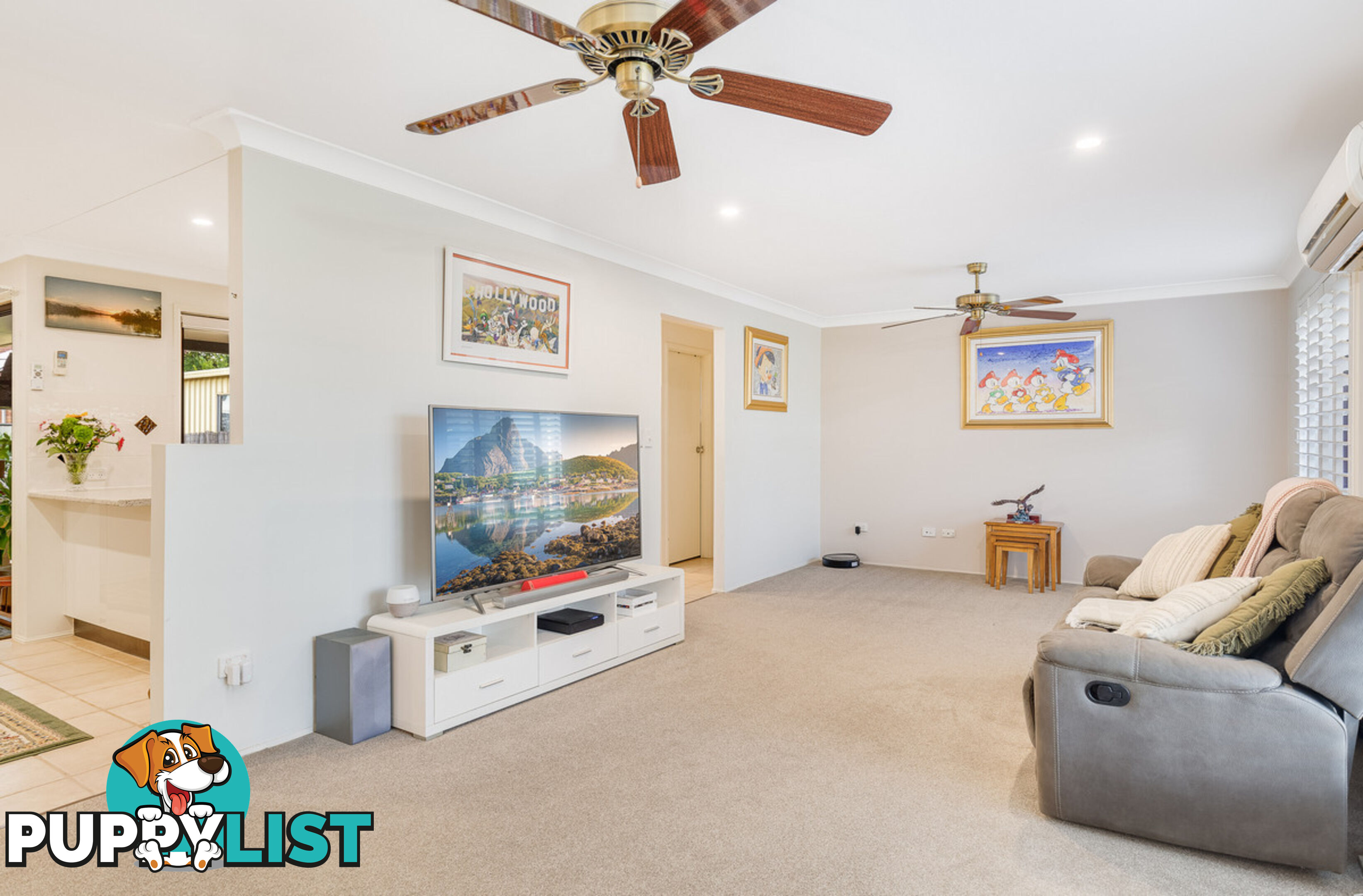 14 Beldale Court WELLINGTON POINT QLD 4160