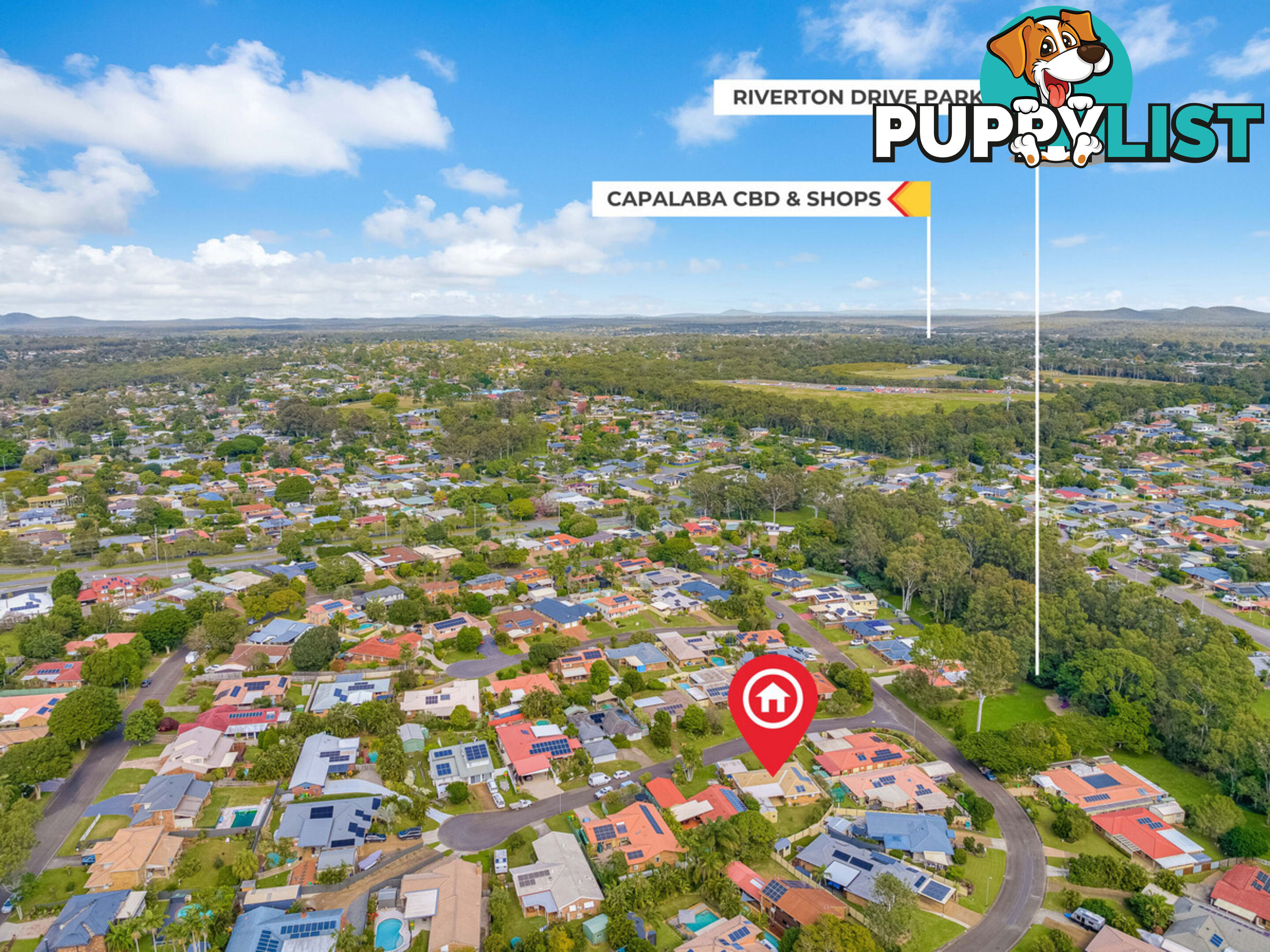 14 Beldale Court WELLINGTON POINT QLD 4160