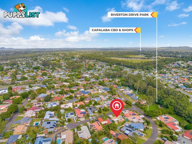 14 Beldale Court WELLINGTON POINT QLD 4160