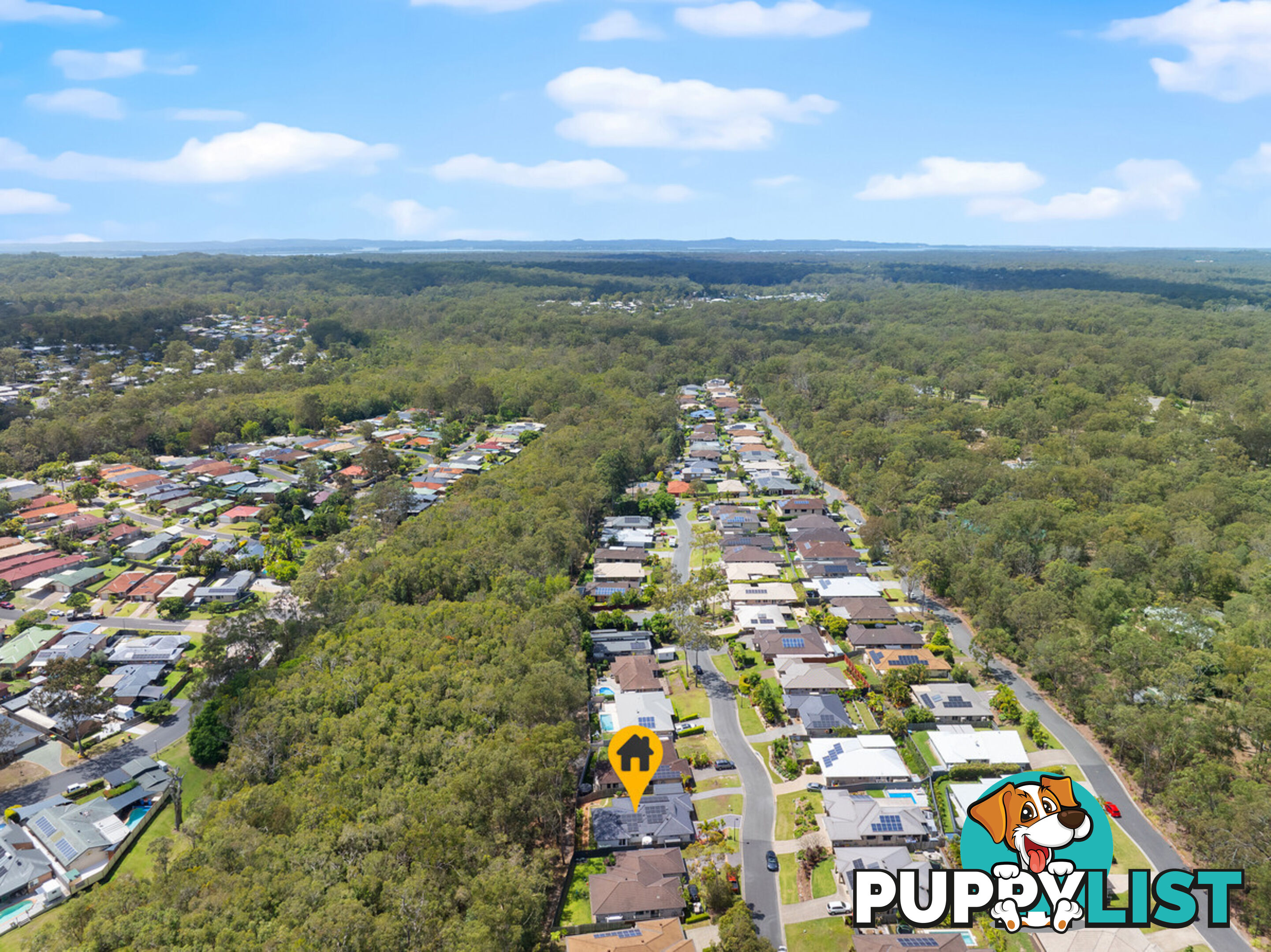 31 Spotted Gum Crescent MOUNT COTTON QLD 4165