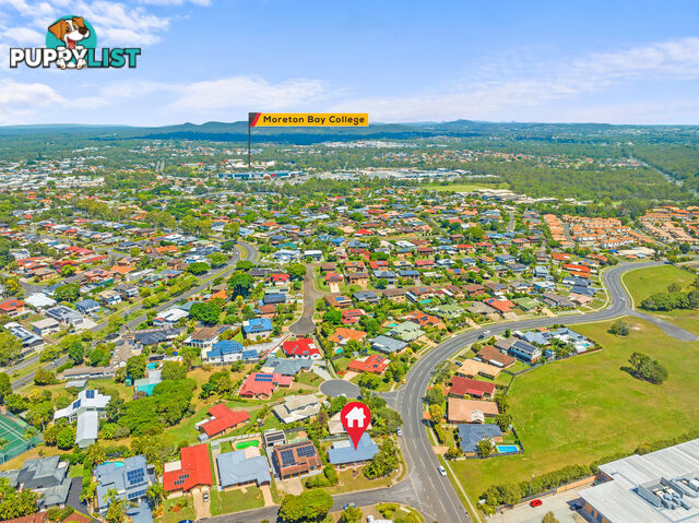 1 Ringtail Place WYNNUM WEST QLD 4178