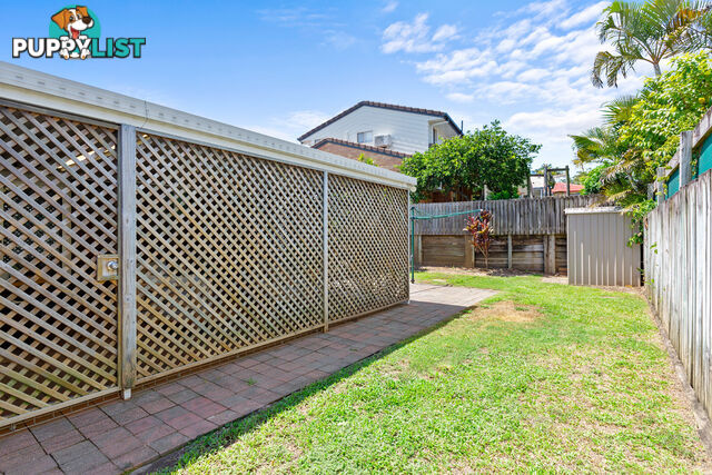 1 Ringtail Place WYNNUM WEST QLD 4178