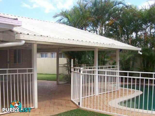 62 Clive Road BIRKDALE QLD 4159