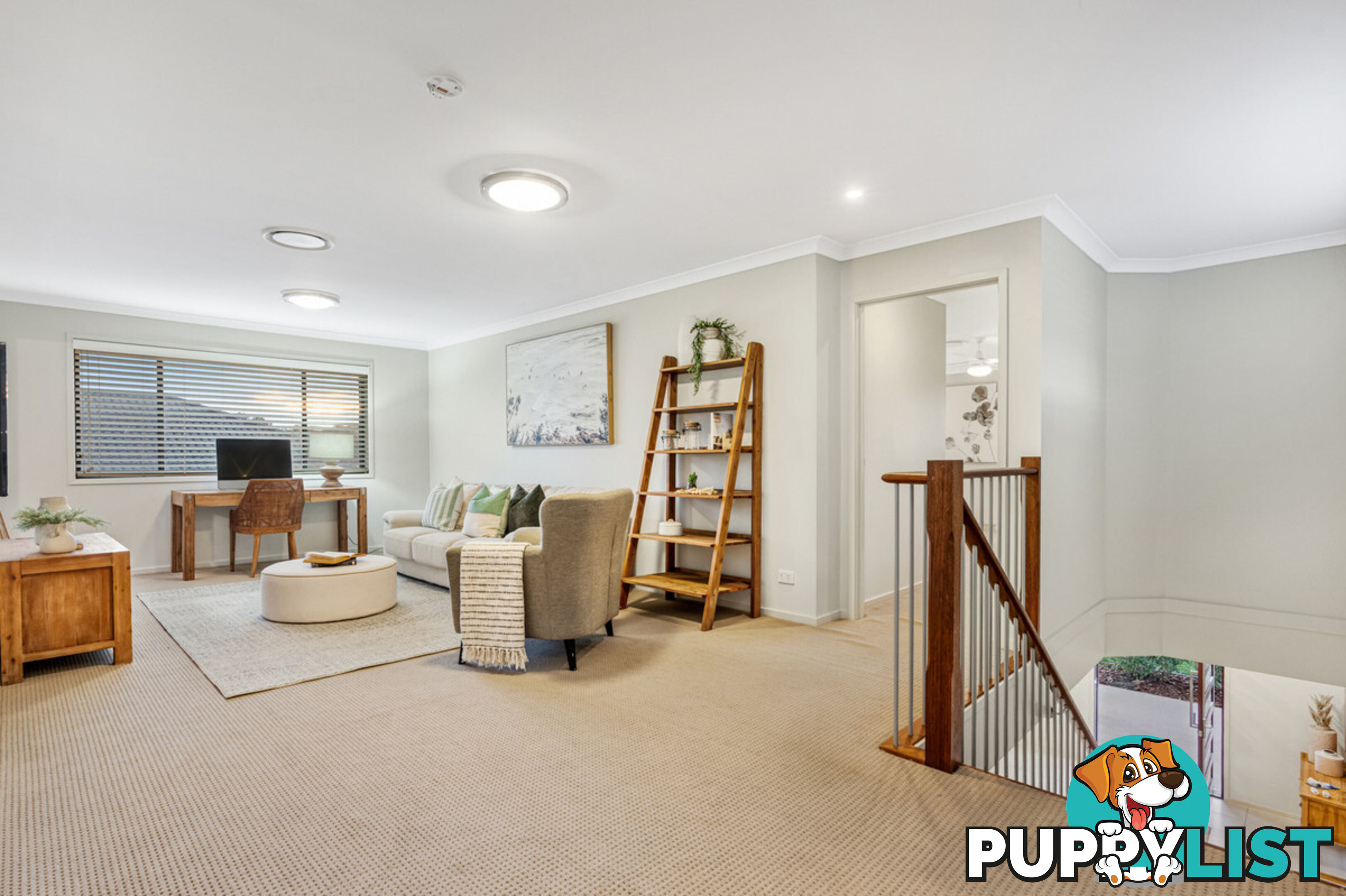 16 Springbrook Place MOGGILL QLD 4070