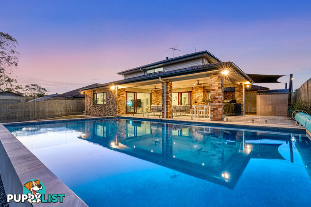 16 Springbrook Place MOGGILL QLD 4070