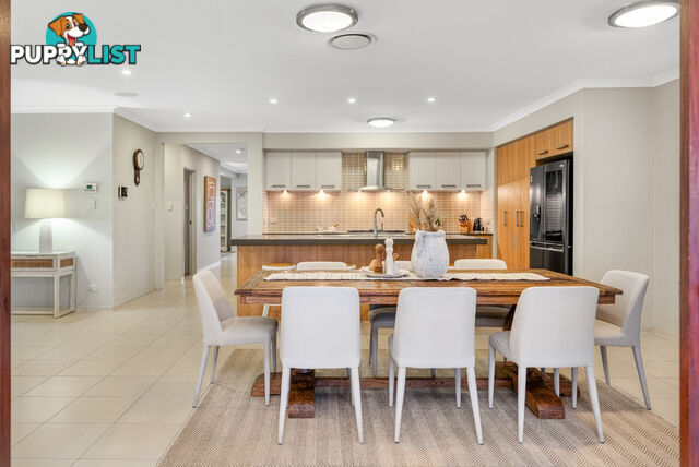 16 Springbrook Place MOGGILL QLD 4070