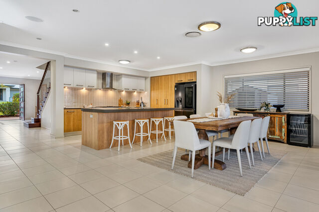16 Springbrook Place MOGGILL QLD 4070