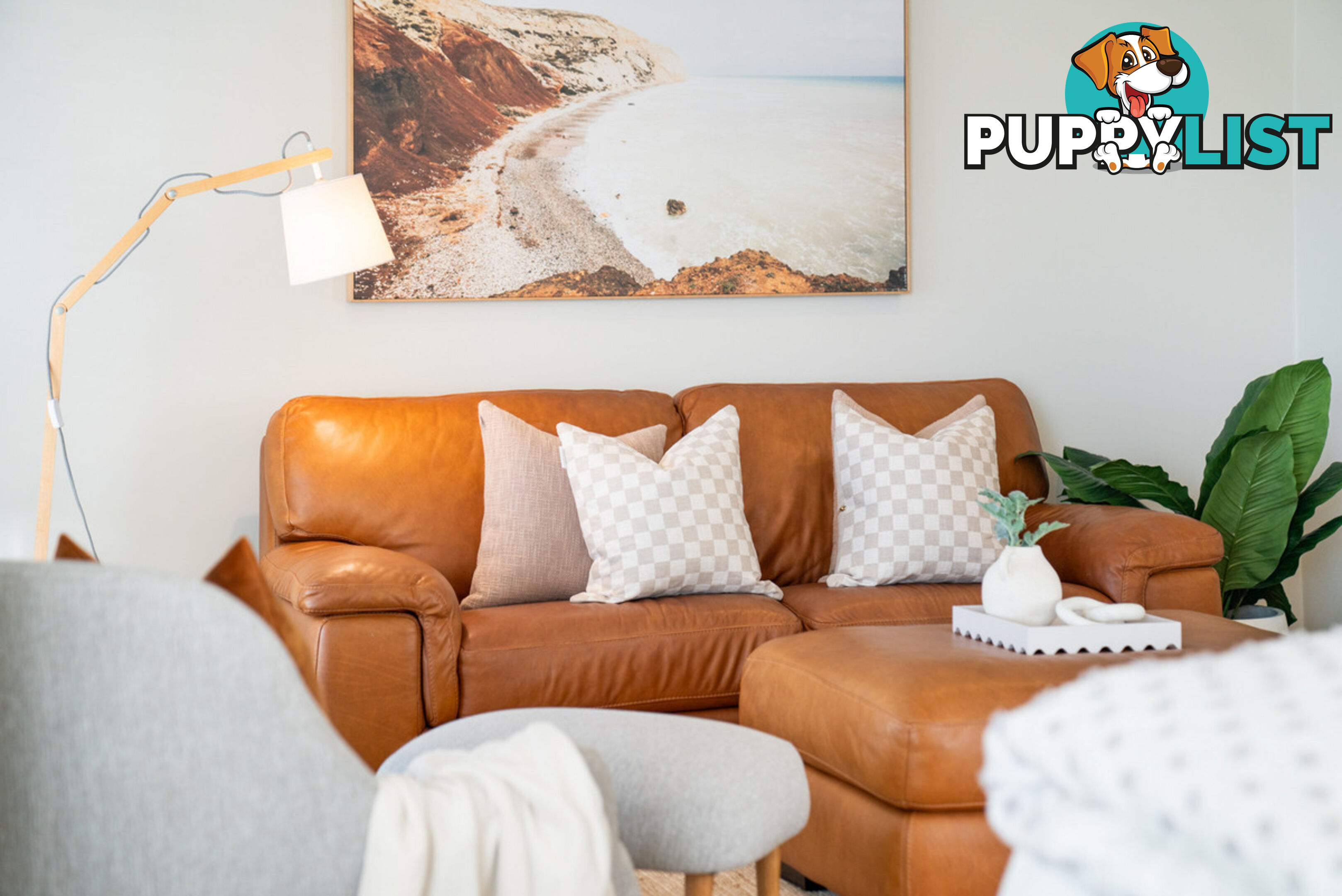 16 Springbrook Place MOGGILL QLD 4070
