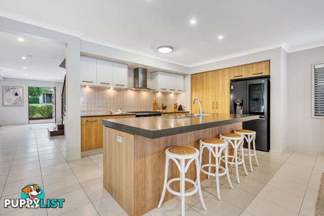 16 Springbrook Place MOGGILL QLD 4070