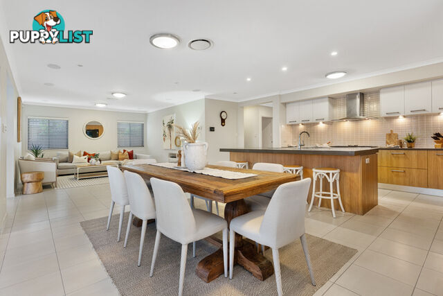 16 Springbrook Place MOGGILL QLD 4070