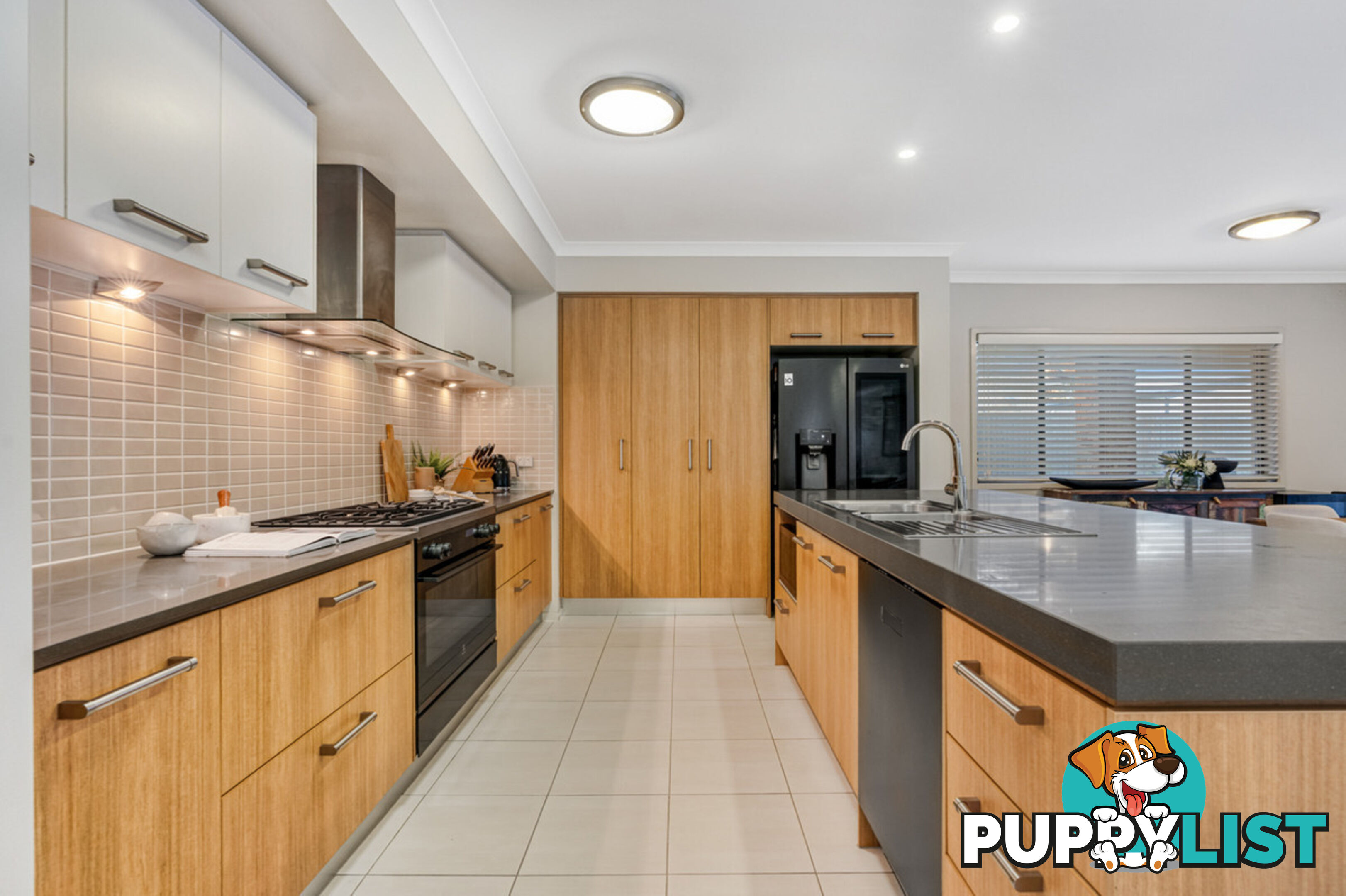 16 Springbrook Place MOGGILL QLD 4070